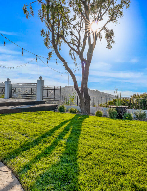 Web Image - Hollywood Hills Rental (65 of 102)