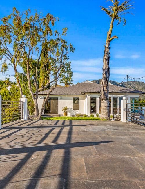 Web Image - Hollywood Hills Rental (73 of 102)